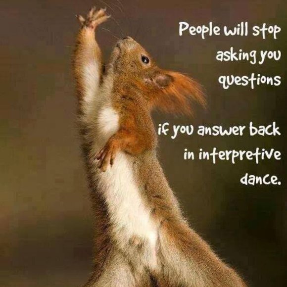 The Best Answer To ALL Questions!